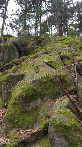 Mountainbike-Rundstrecke Heppenheim HP1