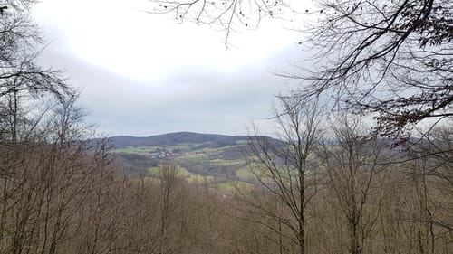Mountainbike-Rundstrecke Heppenheim HP1