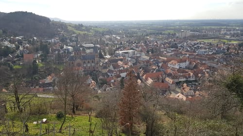 Mountainbike-Rundstrecke Heppenheim HP1
