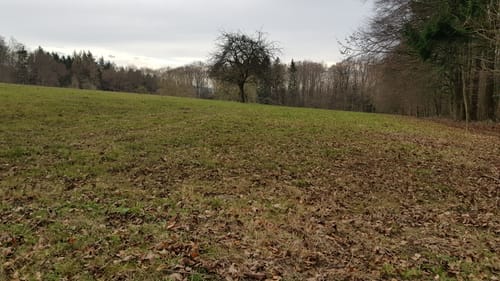 Mountainbike-Rundstrecke Heppenheim HP1