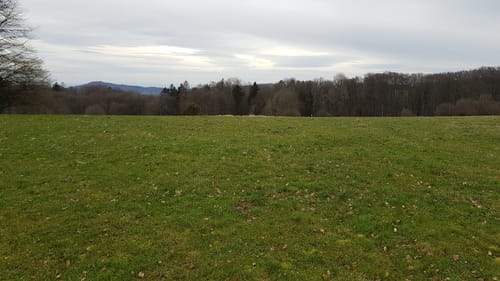 Mountainbike-Rundstrecke Heppenheim HP1
