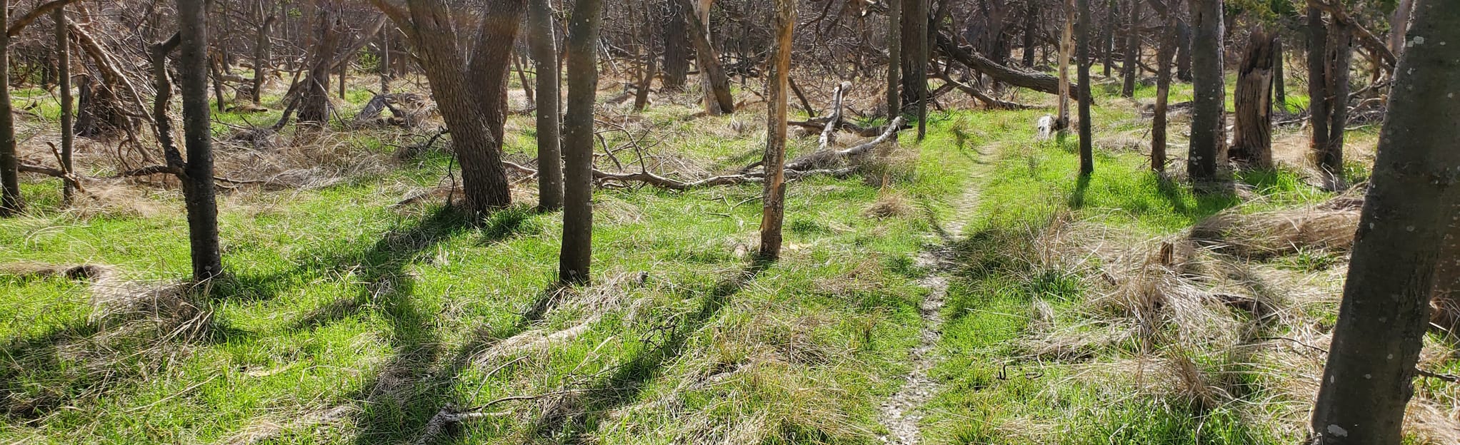 south-concho-river-trail-29-reviews-map-texas-alltrails