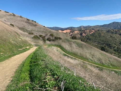 Best 10 Hikes and Trails in Whiting Ranch Wilderness Park | AllTrails