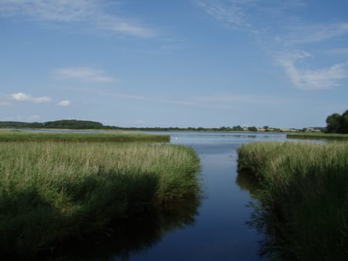 Wackerballig - Nordschau-Wald