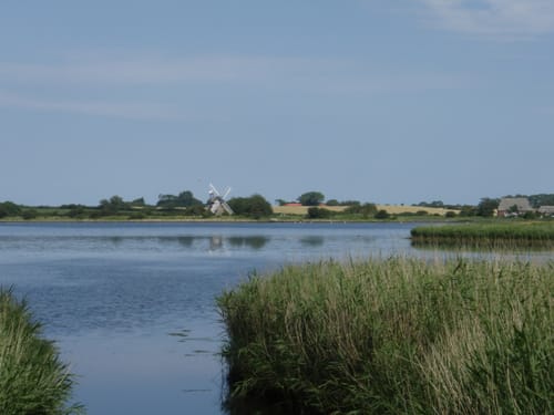 Wackerballig - Nordschau-Wald