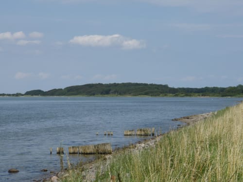 Wackerballig - Nordschau-Wald