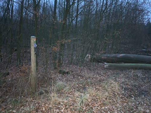 Zugangsweg Hermannshöhen - Bad Driburg