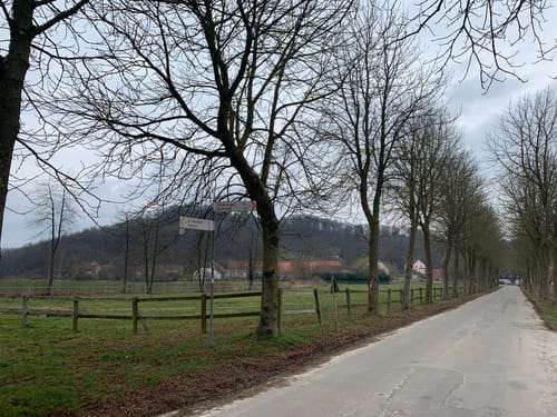 Zugangsweg Hermannshöhen - Bad Driburg