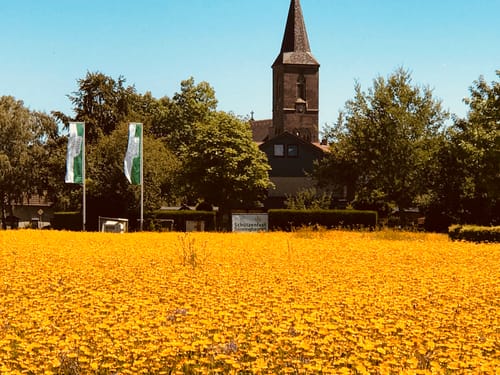 Radtour: Keitlinghausen-Vellern-Sünninghausen