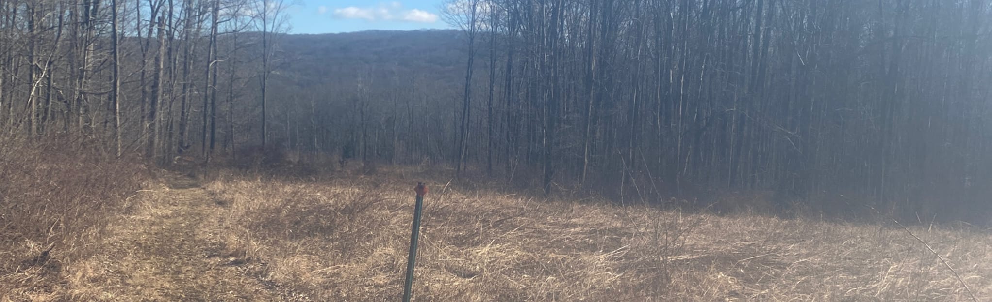 South Branch Preserve South Loop 5 Reviews, Map New Jersey AllTrails