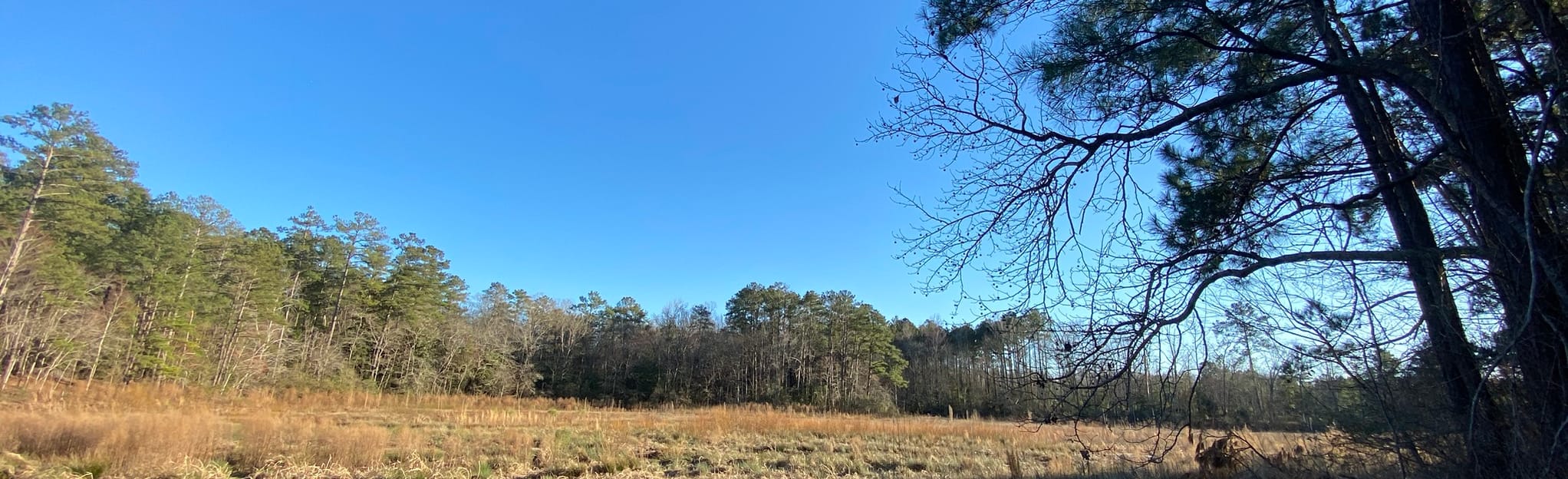 Gibson's Pond Park Loop, South Carolina 58 Reviews, Map AllTrails