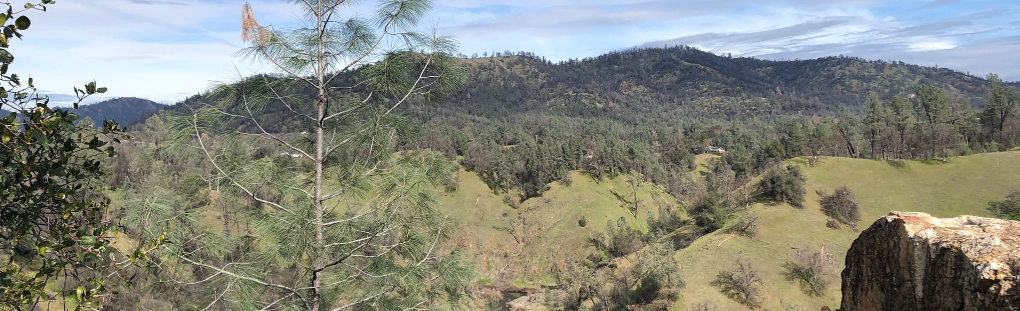 Cloverdale Loop, California 173 Reviews, Map AllTrails