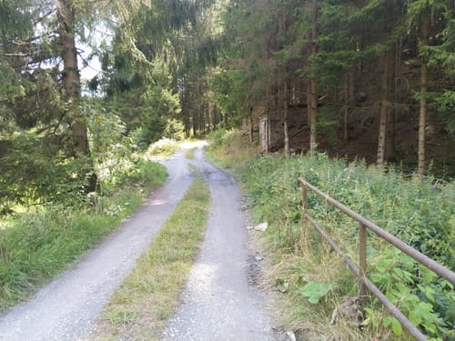 Zum Ölschnitzsee