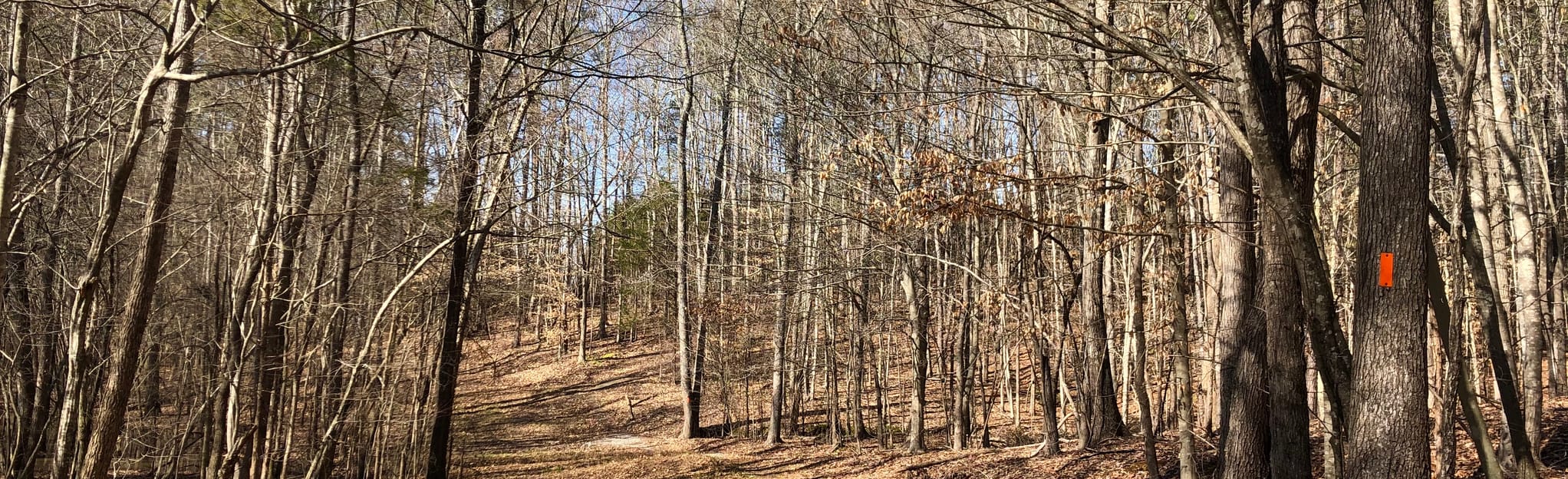 Warrior 39 s Path Trail Map Guide - EyJidWNrZXQiOiJhc3NldHMuYWxsdHJhaWxzLmNvbSIsImtleSI6InVwbG9hZHMvcGhvdG8vaW1hZ2UvMjU0NTA0MjIvYTcyZDkzOTRhMjBmNjIzZjM2N2RmMDRkOWVhYzQwOTMuanBnIiwiZWRpdHMiOnsidG9Gb3JtYXQiOiJqcGVnIiwicmVzaXplIjp7IndpZHRoIjoyMDQ0LCJoZWlnaHQiOjYyNCwiZml0IjoiY292ZXIifSwicm90YXRlIjpudWxsLCJqcGVnIjp7InRyZWxsaXNRdWFudGlzYXRpb24iOnRydWUsIm92ZXJzaG9vdERlcmluZ2luZyI6dHJ1ZSwib3B0aW1pc2VTY2FucyI6dHJ1ZSwicXVhbnRpc2F0aW9uVGFibGUiOjN9fX0=