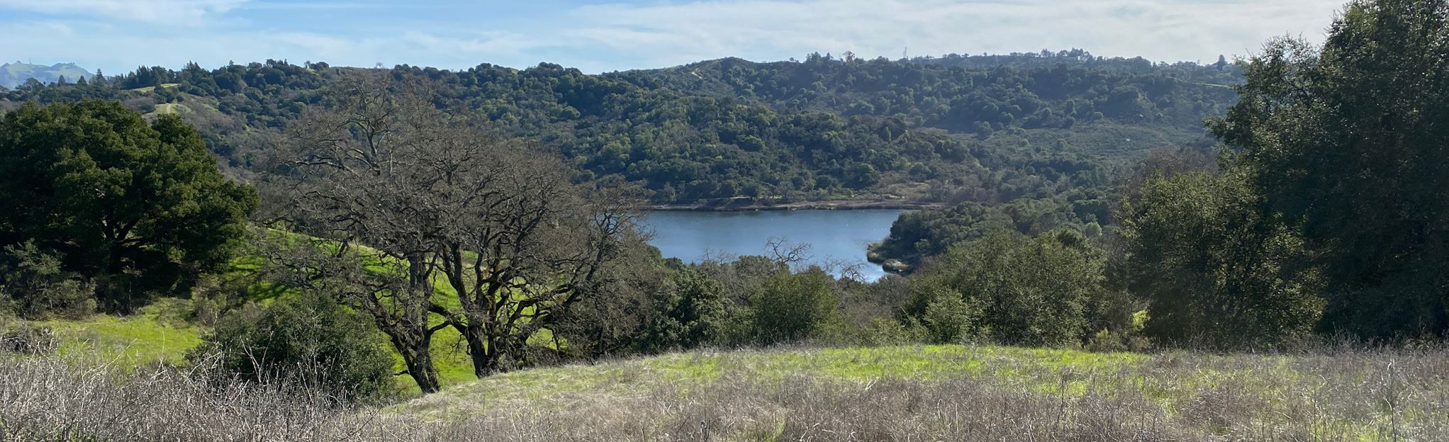 Lafayette Reservoir Nature Area Rim Trail: 3,445 Reviews, Map ...