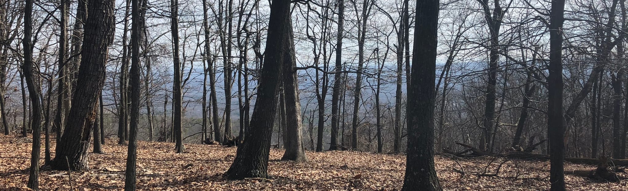 Tuscarora Trail and Third Hill Mountain Trail Loop 30 Reviews, Map