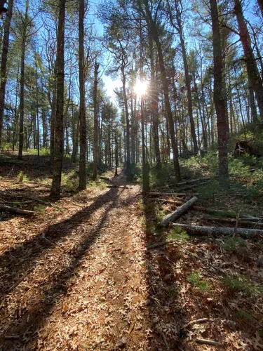 nickerson state park bike trails