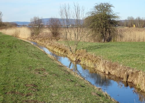 Mühlhausen - Bad Schönborn Radtour
