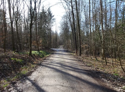 Bad Mingolsheim, Brettwald, Odenheim, und Pfannwald Rundweg
