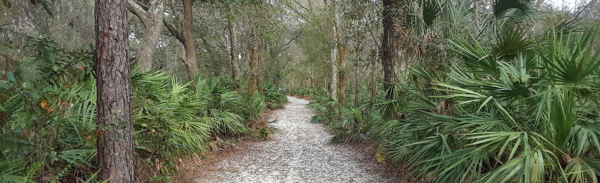 Lake Chautauqua Equestrian and - EyJidWNrZXQiOiJhc3NldHMuYWxsdHJhaWxzLmNvbSIsImtleSI6InVwbG9hZHMvcGhvdG8vaW1hZ2UvMjU0ODU2MTAvNmExZTQ4MGY0MDk5ODQyMmE4ZTIzNDk3ZGNkOTdjYTQuanBnIiwiZWRpdHMiOnsidG9Gb3JtYXQiOiJqcGVnIiwicmVzaXplIjp7IndpZHRoIjoyMDQ0LCJoZWlnaHQiOjYyNCwiZml0IjoiY292ZXIifSwicm90YXRlIjpudWxsLCJqcGVnIjp7InRyZWxsaXNRdWFudGlzYXRpb24iOnRydWUsIm92ZXJzaG9vdERlcmluZ2luZyI6dHJ1ZSwib3B0aW1pc2VTY2FucyI6dHJ1ZSwicXVhbnRpc2F0aW9uVGFibGUiOjN9fX0=