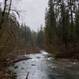 Fall Creek National Recreation Trail [CLOSED], Oregon - 119 Reviews ...