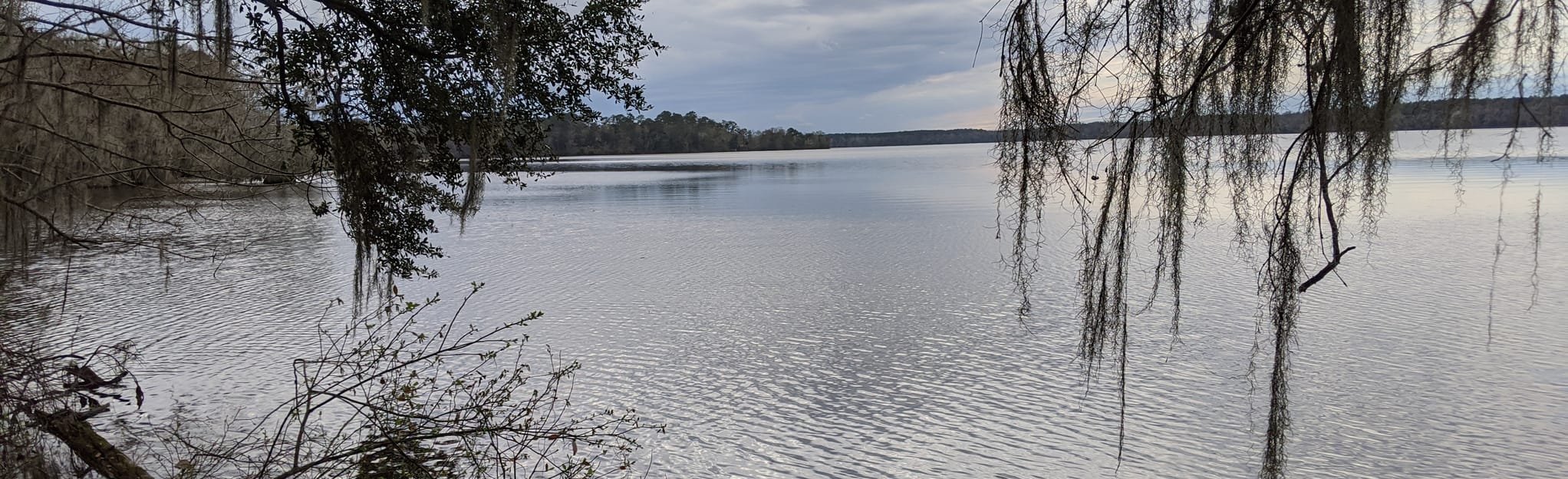 Fort Braden West Loop Florida - EyJidWNrZXQiOiJhc3NldHMuYWxsdHJhaWxzLmNvbSIsImtleSI6InVwbG9hZHMvcGhvdG8vaW1hZ2UvMjU0ODYzMTgvN2VhZWQ4MTI2OWQ0YTgwYTNmYWM4MjZkMmJiNmI0MDkuanBnIiwiZWRpdHMiOnsidG9Gb3JtYXQiOiJqcGVnIiwicmVzaXplIjp7IndpZHRoIjoyMDQ0LCJoZWlnaHQiOjYyNCwiZml0IjoiY292ZXIifSwicm90YXRlIjpudWxsLCJqcGVnIjp7InRyZWxsaXNRdWFudGlzYXRpb24iOnRydWUsIm92ZXJzaG9vdERlcmluZ2luZyI6dHJ1ZSwib3B0aW1pc2VTY2FucyI6dHJ1ZSwicXVhbnRpc2F0aW9uVGFibGUiOjN9fX0=