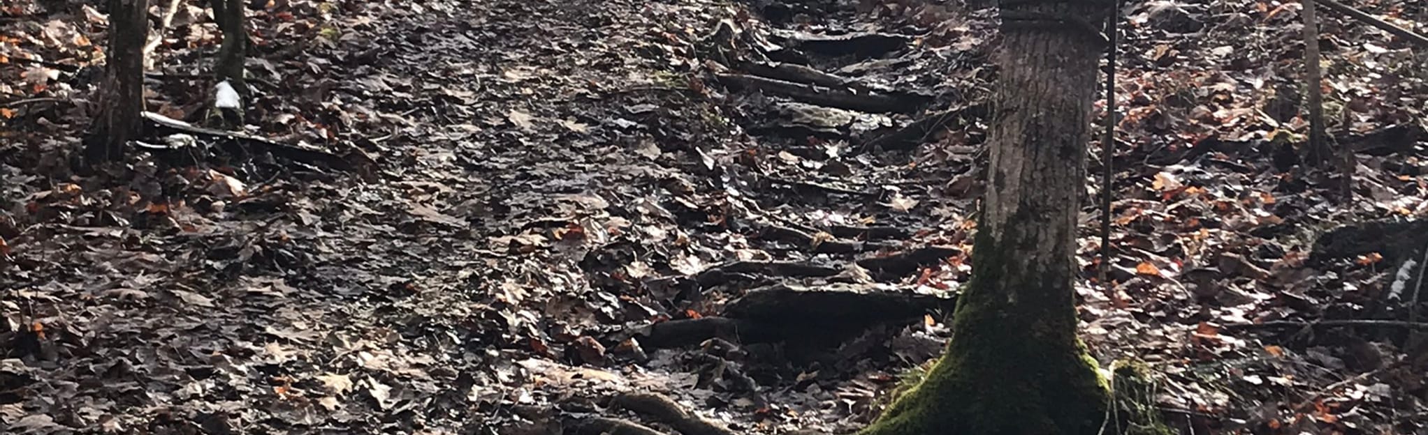 Tunnel Mill Boy Scout Camp Loop [PRIVATE PROPERTY] Map, Guide