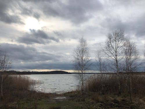 Neuhäuser See