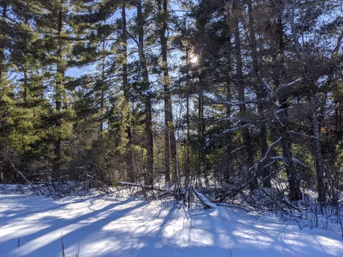 Best Hikes and Trails in Governor Earl Peshtigo River State Forest ...