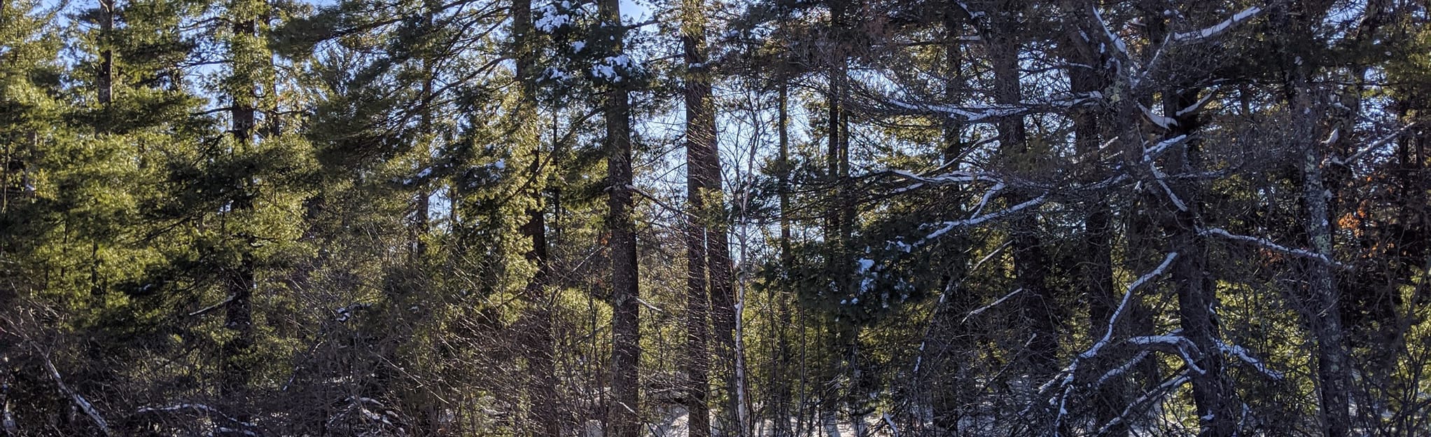 High Falls Snowshoe, Wisconsin 4 Reviews, Map AllTrails