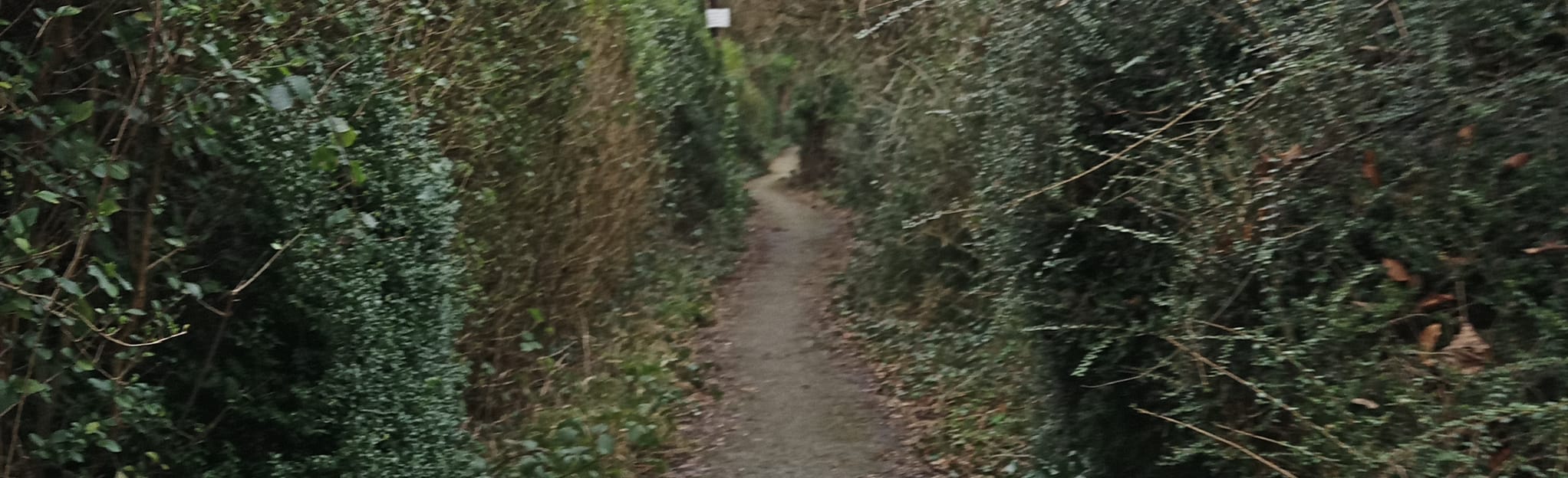 Crowhurst Blue Coppice Circular, 7 Fotos East Sussex, England AllTrails