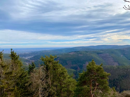 Höningen, Rahnfels, und Kieskautberg Rundweg