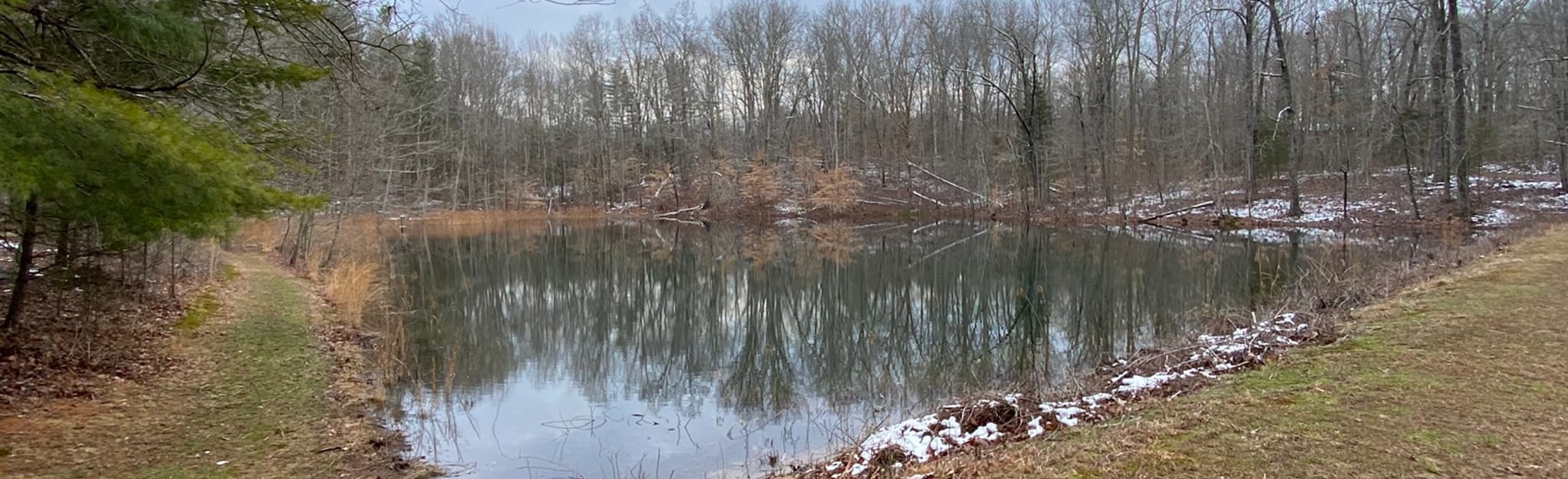 Woodland Pond Trail, Kentucky 26 Reviews, Map AllTrails