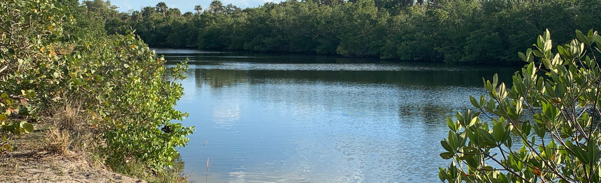 Lover's Key Eagle Trail, Florida 133 Reviews, Map AllTrails