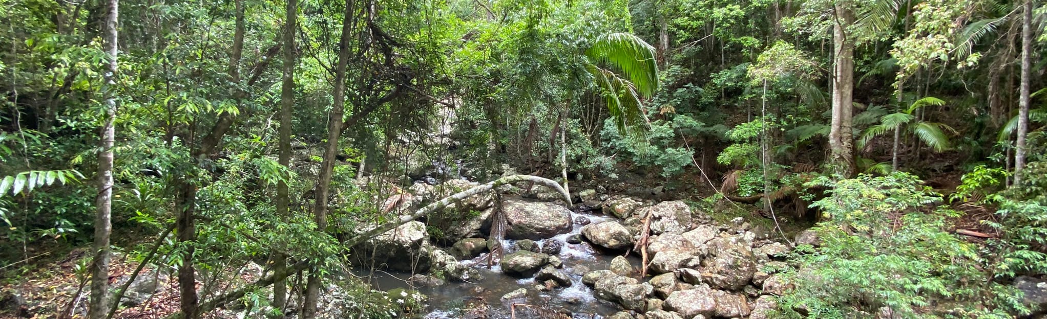 Flaxton to Mapleton Falls Lookout, Queensland, Australia 108 Reviews