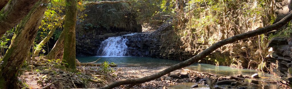 Twin Falls Trail: 1,523 Reviews, Map - Maui, Hawaii | Alltrails