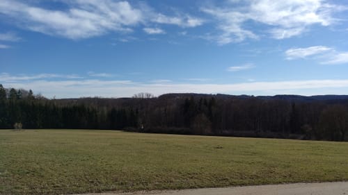 Über die Felder zwischen Wittlingen und Hengen