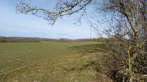 Über die Felder zwischen Wittlingen und Hengen