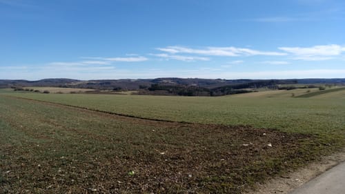 Über die Felder zwischen Wittlingen und Hengen