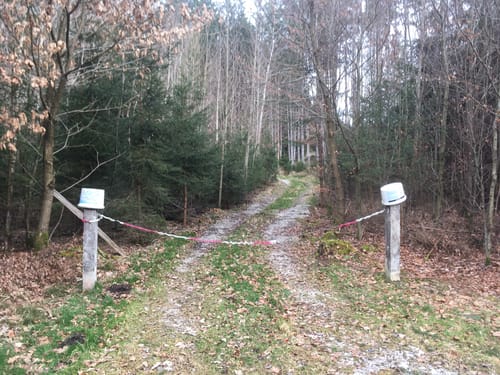 Gögerl - Längenlaich Rundweg