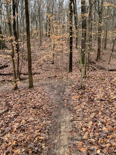 Best Hikes and Trails in Waverly Park | AllTrails