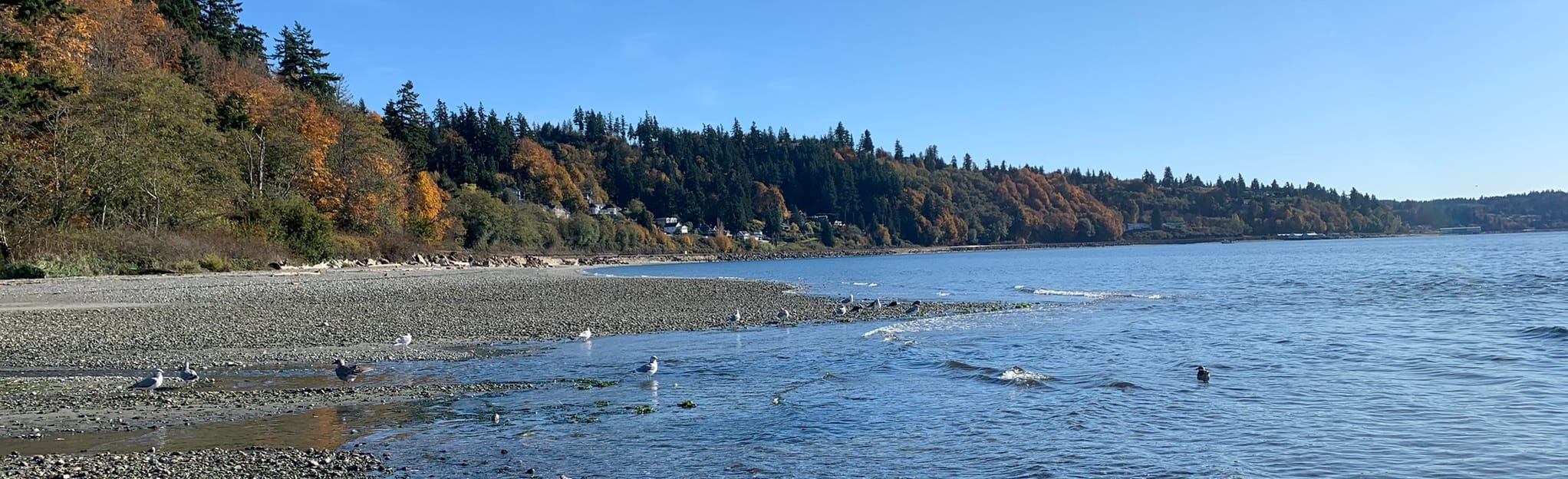 Picnic Point Park, Washington 86 Reviews, Map AllTrails