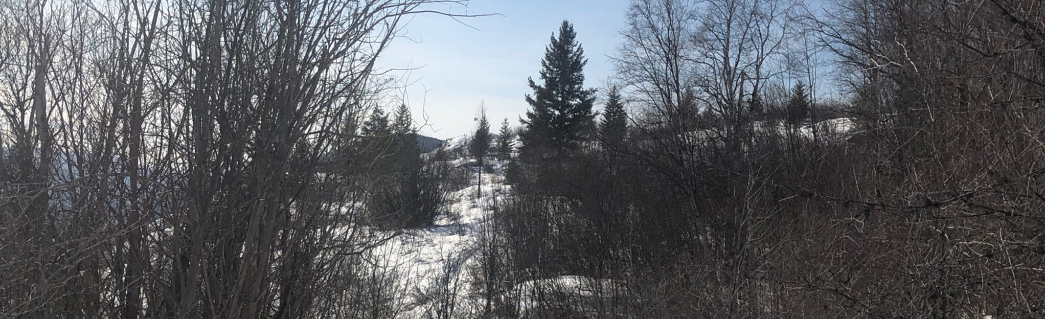 Flagpole View Trail 5 Reviews, Map British Columbia, Canada AllTrails