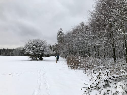 Wanderung O3 - Von Oberaula zum Eisenberg