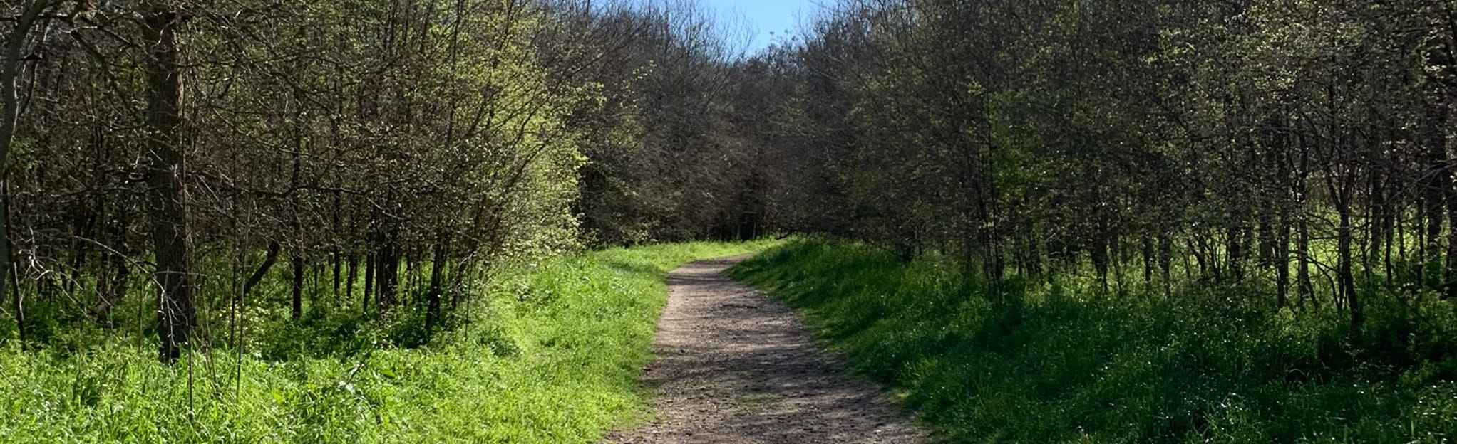 Onion Creek Greenbelt Trail Mappa, Guida Texas AllTrails