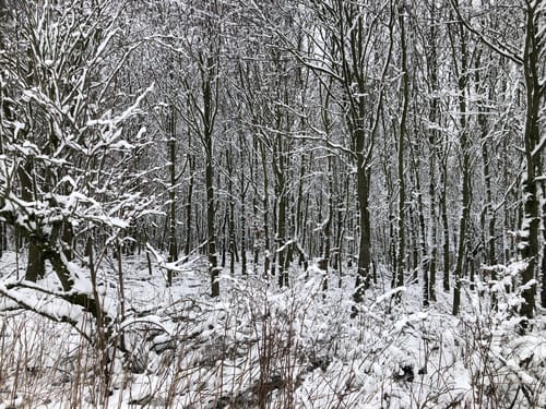 Wanderung O3 - Von Oberaula zum Eisenberg