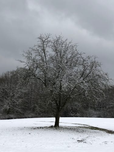 Kräuterwanderung Eisenberg