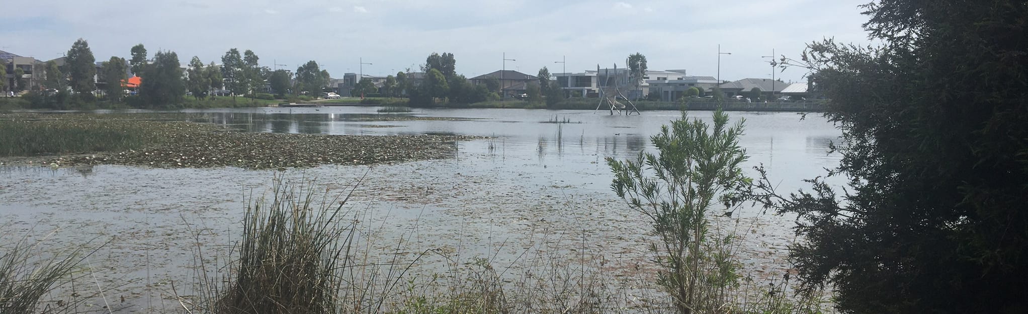Ironbark Lake via Jonas Bradley Oval, New South Wales, Australia 13