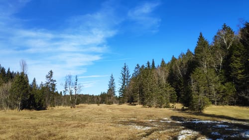 Eurasburg Naturwanderung