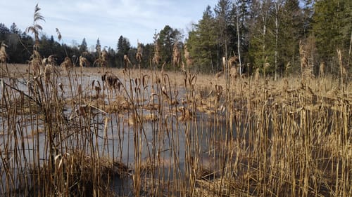 Eurasburg Naturwanderung